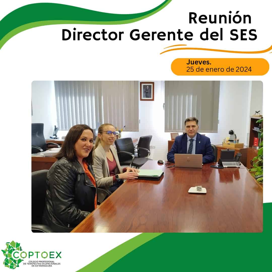 reunion director gerente ses